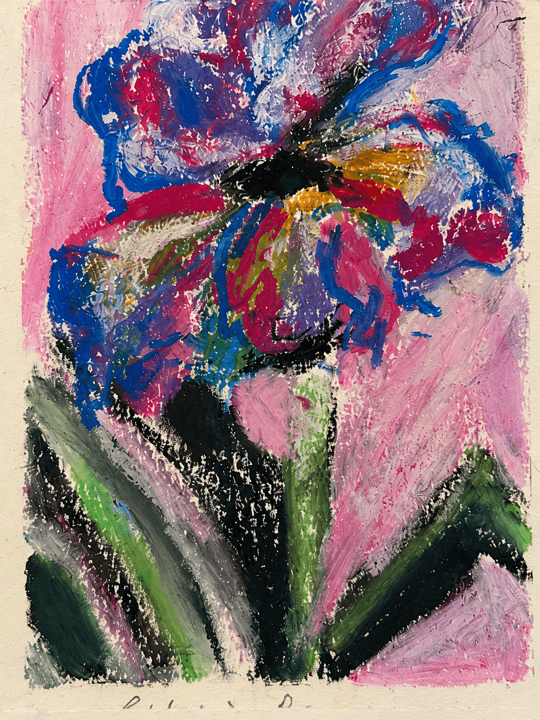 Purple blue flower with green leaves on pink ground