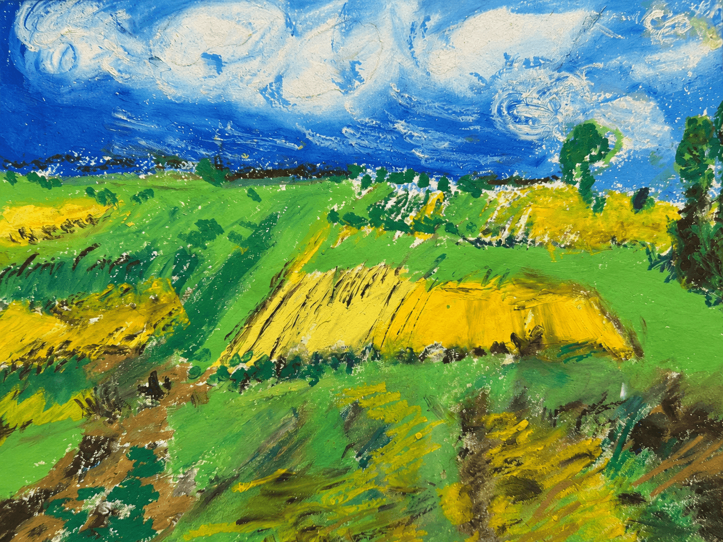Green cultivated fields beneath dramatic blue sky